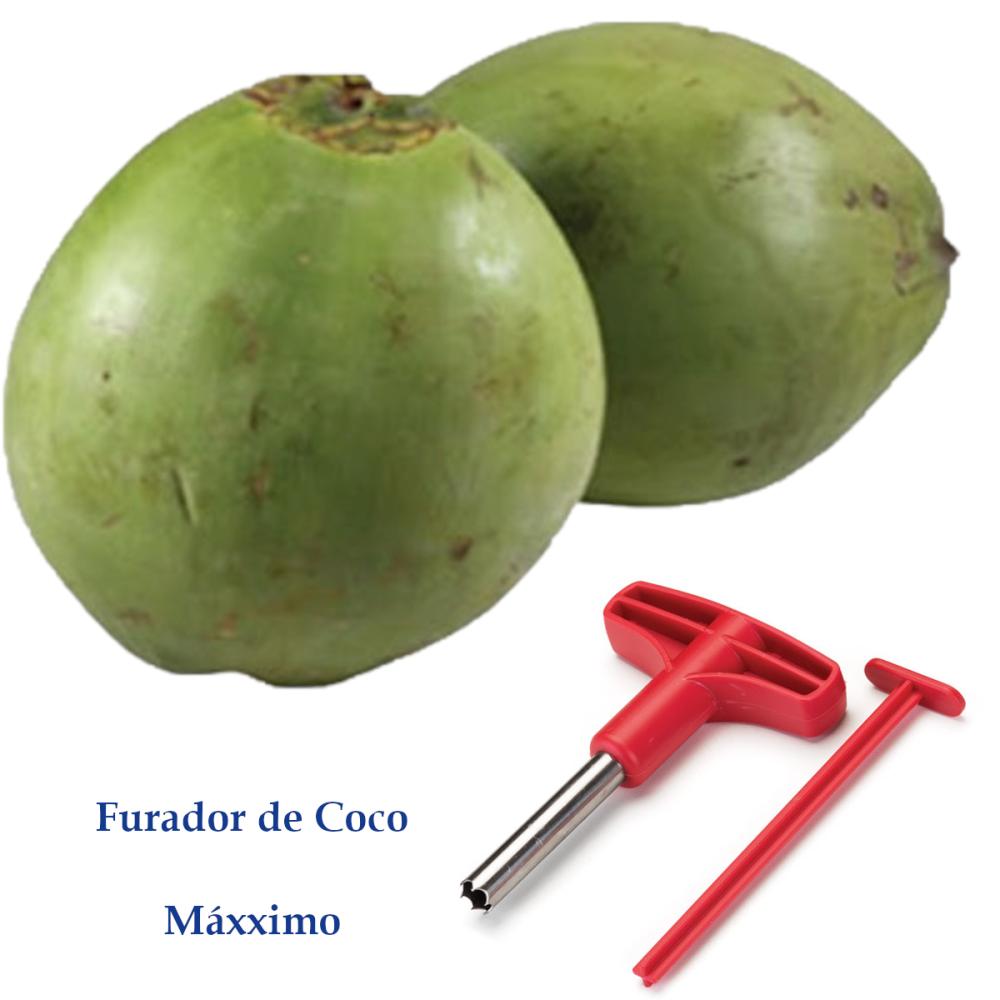 Abridor - Fura Coco - Máxximo